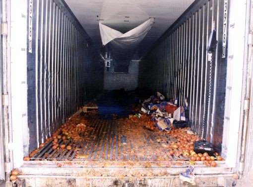 Vụ 39 người chết ở Anh: ác mộng mang tên Container - xe nhập cư vu 39 nguoi chet o anh ac mong mang ten container xe nhap cu