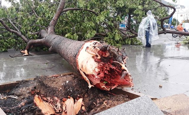 Bình Định sau cơn bão số 5 đổ bộ: Ba tàu hàng cùng 21 thuyền viên đang mắc cạn binh dinh sau con bao so 5 3 tau hang cung 21 thuyen vien dang mac can