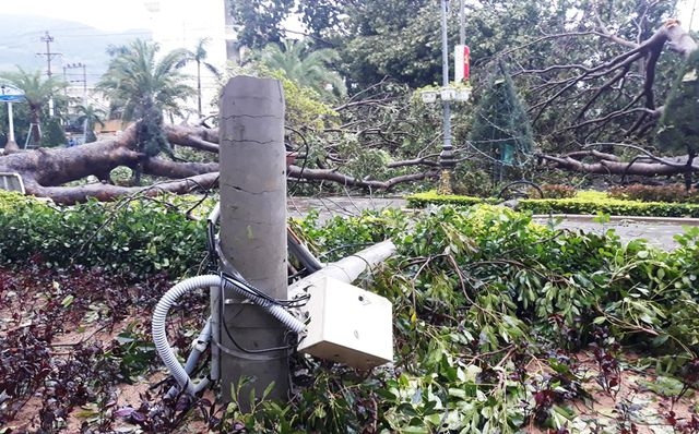 Bình Định sau cơn bão số 5 đổ bộ: Ba tàu hàng cùng 21 thuyền viên đang mắc cạn binh dinh sau con bao so 5 3 tau hang cung 21 thuyen vien dang mac can