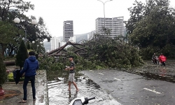 Bình Định sau cơn bão số 5 đổ bộ: Ba tàu hàng cùng 21 thuyền viên đang mắc cạn