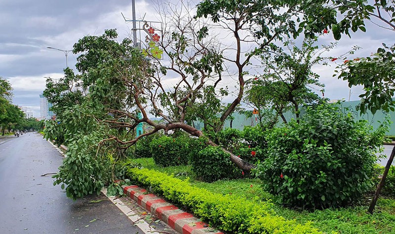 Sóng biển ập lên đường phố, đánh sập kè tại Phú Yên bao so 5 tai phu yen song bien ap len duong pho danh sap ke
