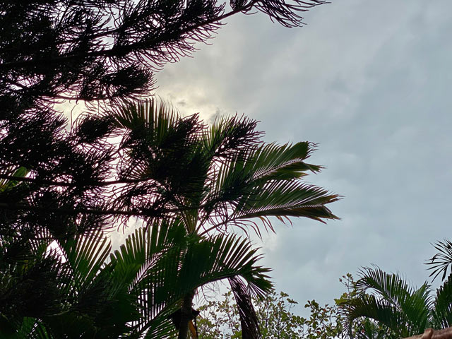 Lý Sơn chống chọi với gió giật cấp 7-8 trước khi bão số 6 tiến vào ly son chong choi voi gio giat cap 7 8 truoc khi bao so 6 tien vao