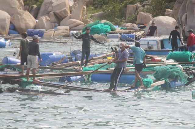 Khánh Hòa yêu cầu ứng cứu hai người dân mắc kẹt trên biển trước giờ bão số 6 đổ bộ