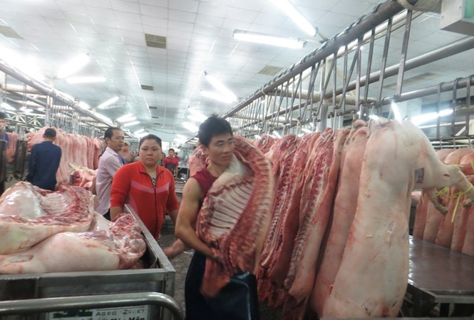 thit heo tang gia ha noi tieu thuong lam gia tp ho chi minh lap san giao dich heo