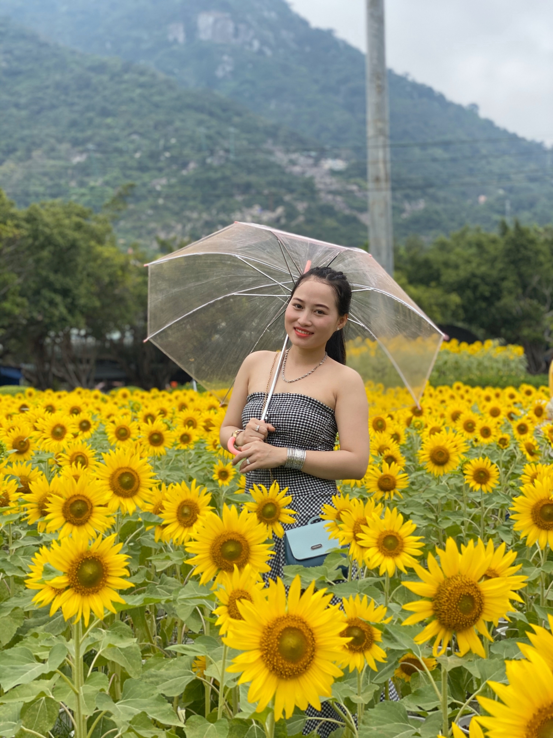 Gặp lại những gương mặt quán quân Gặp lại những gương mặt quán quân