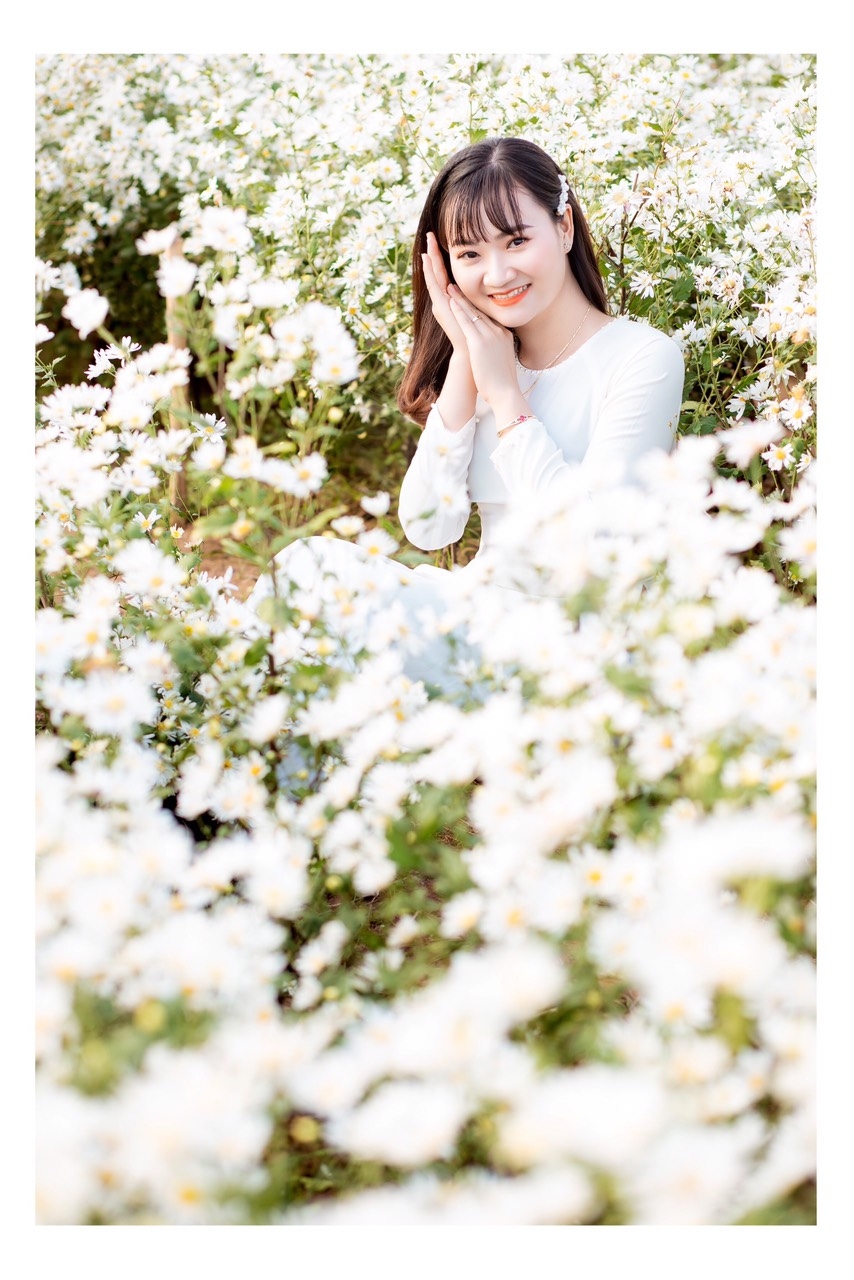 Trai xinh gái đẹp bên cúc họa mi