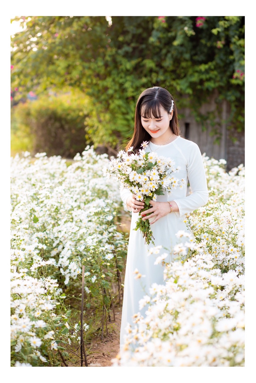 Trai xinh gái đẹp bên cúc họa mi