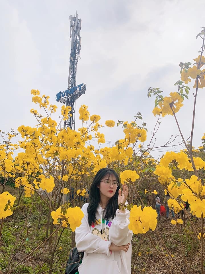 Vườn hoa phong linh, khi khu công nghiệp cũng có thể trở nên đẹp và thơ Vườn hoa phong linh, khi khu công nghiệp cũng có thể trở nên đẹp và thơ