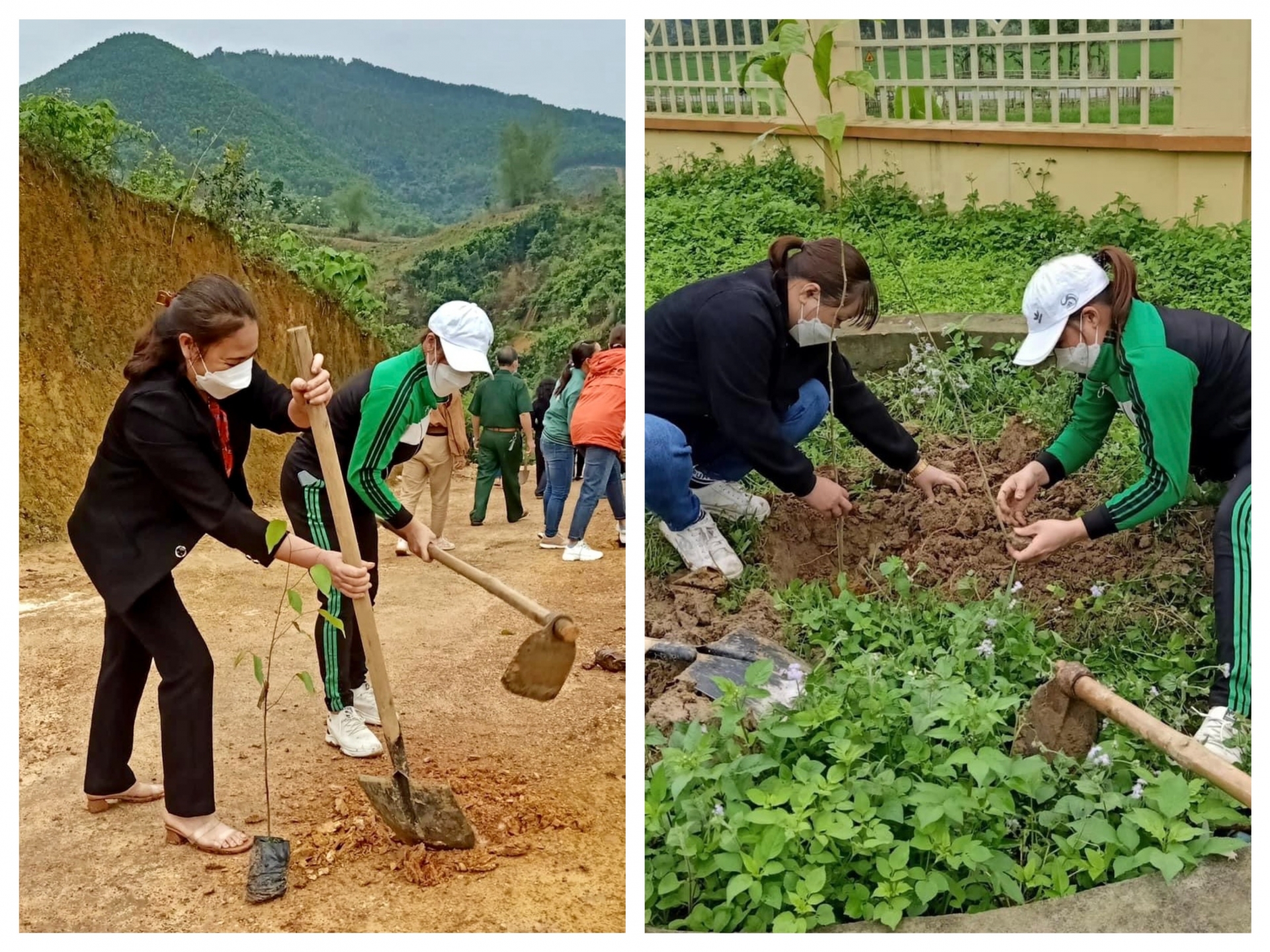 Công đoàn Hoà Bình tích cực phủ xanh Công đoàn Hoà Bình tích cực phủ xanh