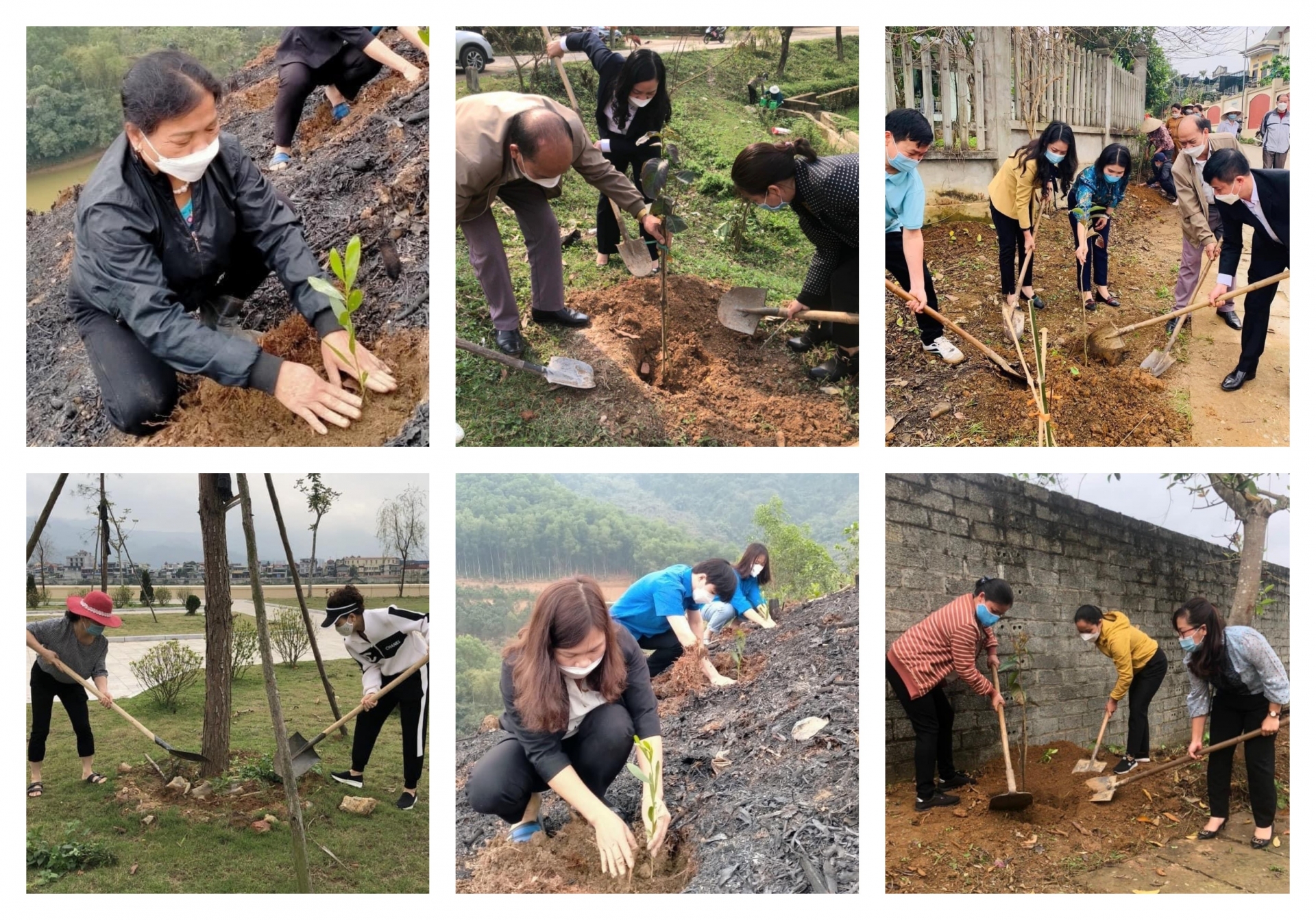 Công đoàn Hoà Bình tích cực phủ xanh Công đoàn Hoà Bình tích cực phủ xanh