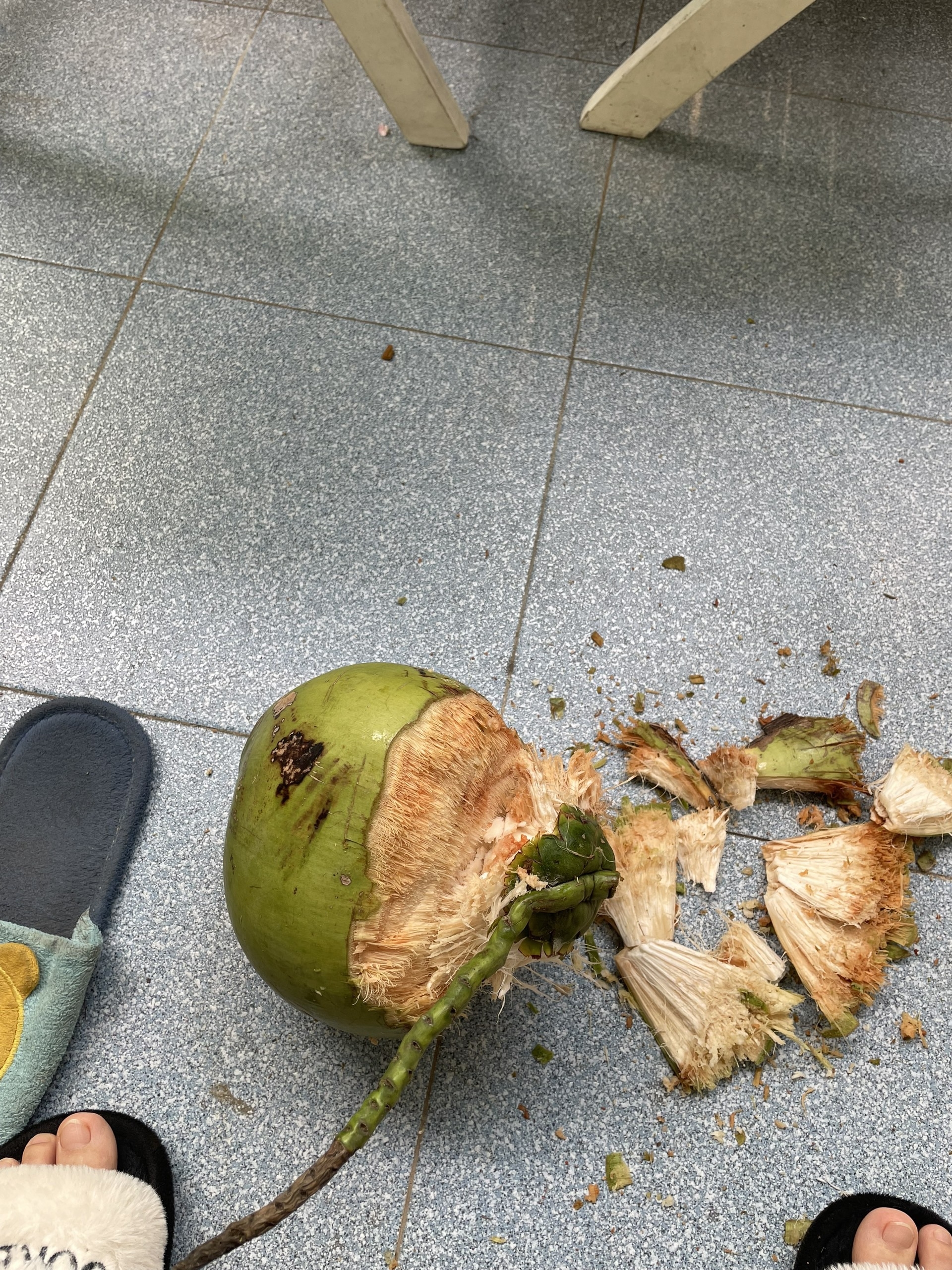 Nhật ký F0: Nhật ký F0: