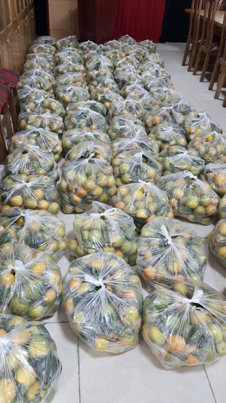 Công đoàn Công ty In Tiến Bộ vận động đoàn viên tiêu thụ cam Hà Giang