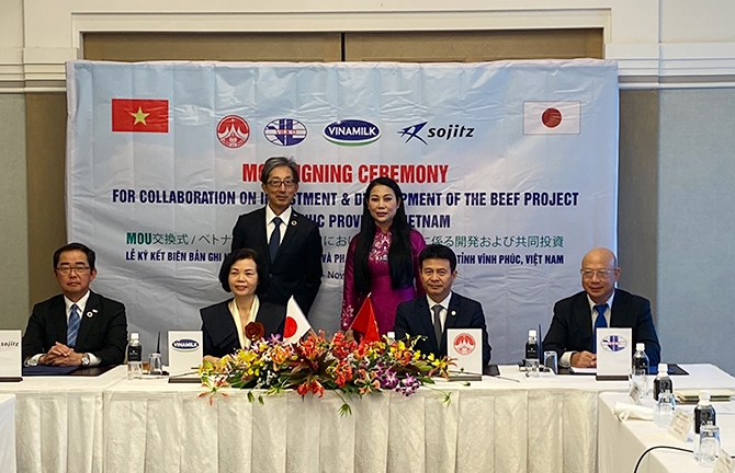 Bất chấp Covid-19, vốn FDI vào Vĩnh Phúc tăng mạnh Bất chấp Covid-19, vốn FDI vào Vĩnh Phúc tăng mạnh