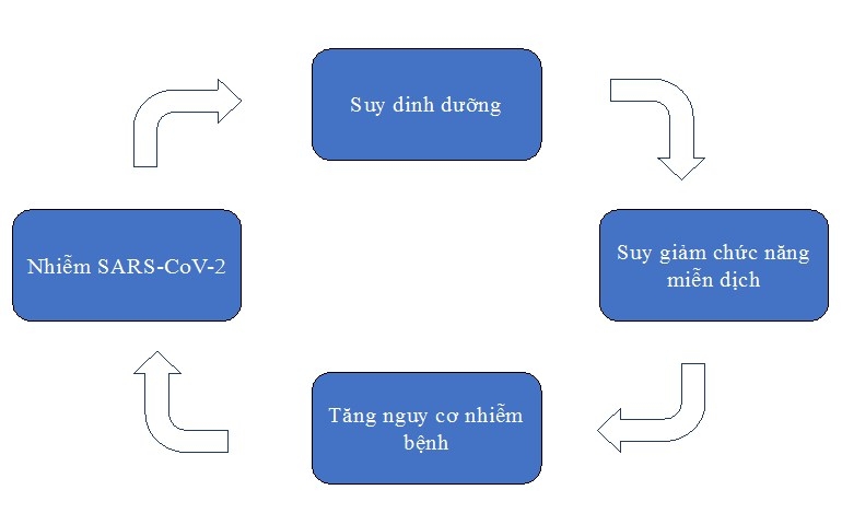 Hướng dẫn chế độ dinh dưỡng cho người nhiễm Covid-19 tại nhà
