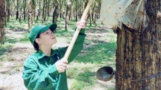 Trương Thị Tuyết: Người thợ cạo mủ cao su tâm huyết