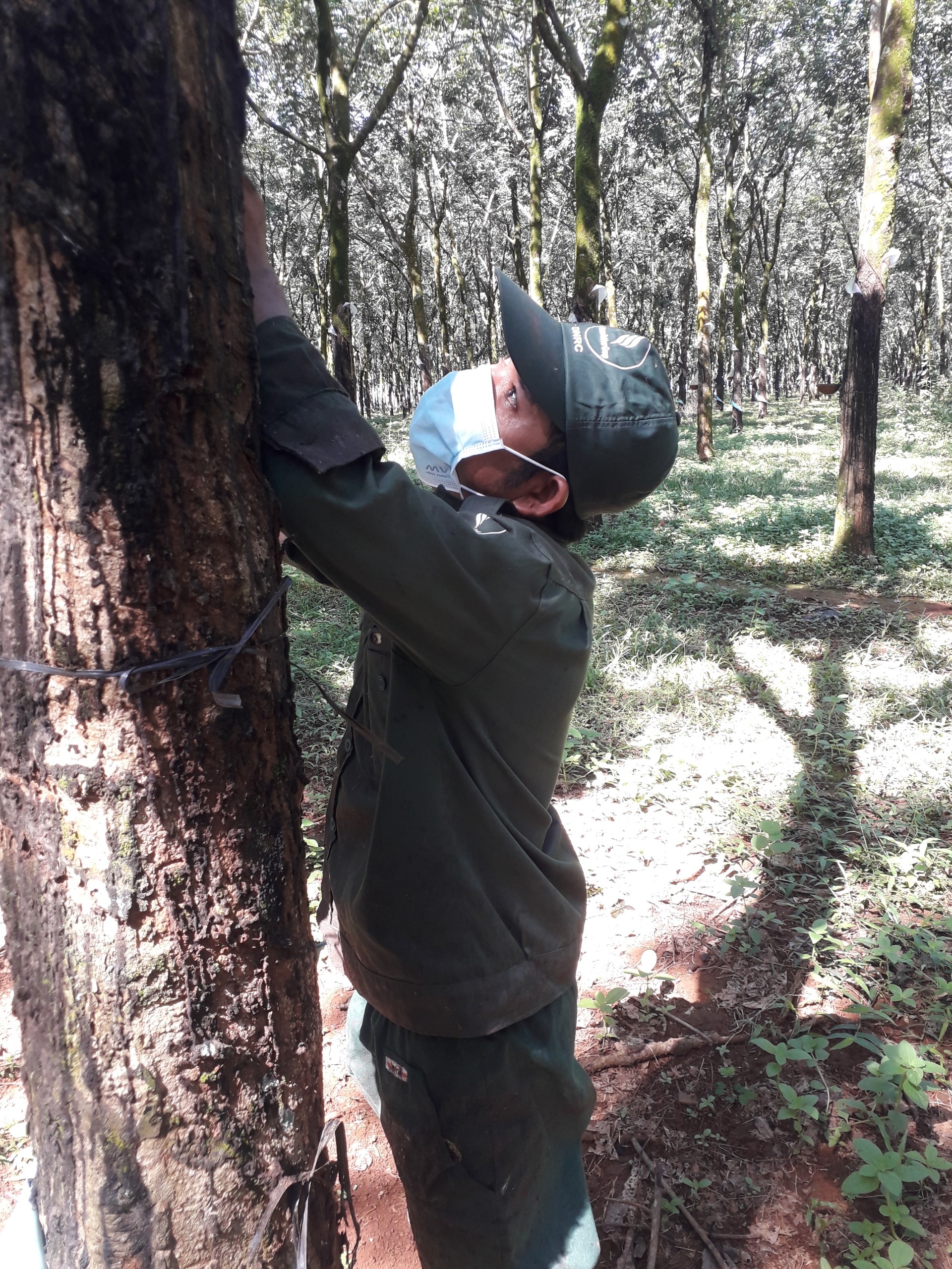 Công đoàn là tổ ấm, là người bạn đáng tin cậy của người lao động