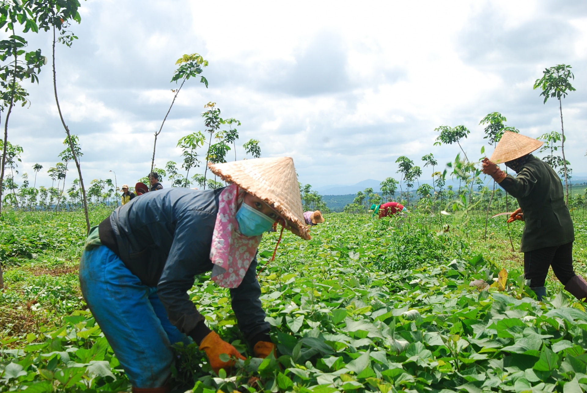 Mái ấm Công đoàn - Món quà chở che hai mẹ con vượt qua giông bão Mái ấm Công đoàn - Món quà chở che hai mẹ con vượt qua giông bão