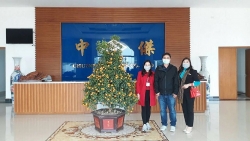 hoi an phat khau trang mien phi cho du khach phong dich benh