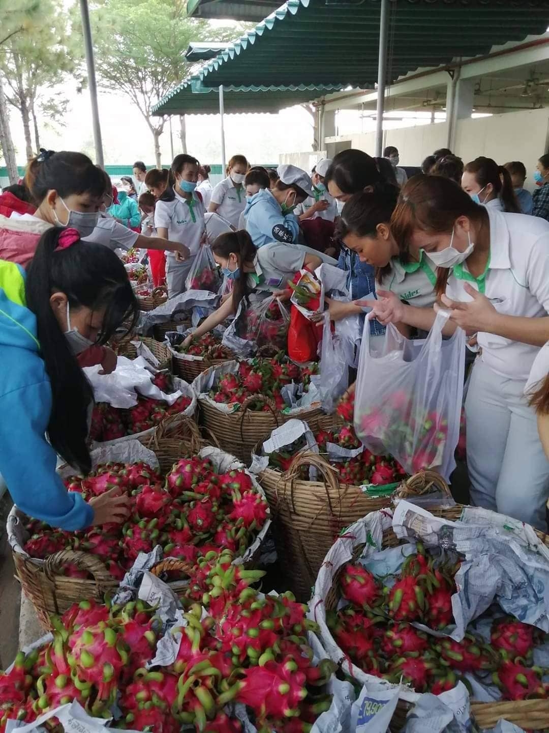 cong doan cong ty tnhh nidec viet nam ho tro nong dan tieu thu 15 tan nong san