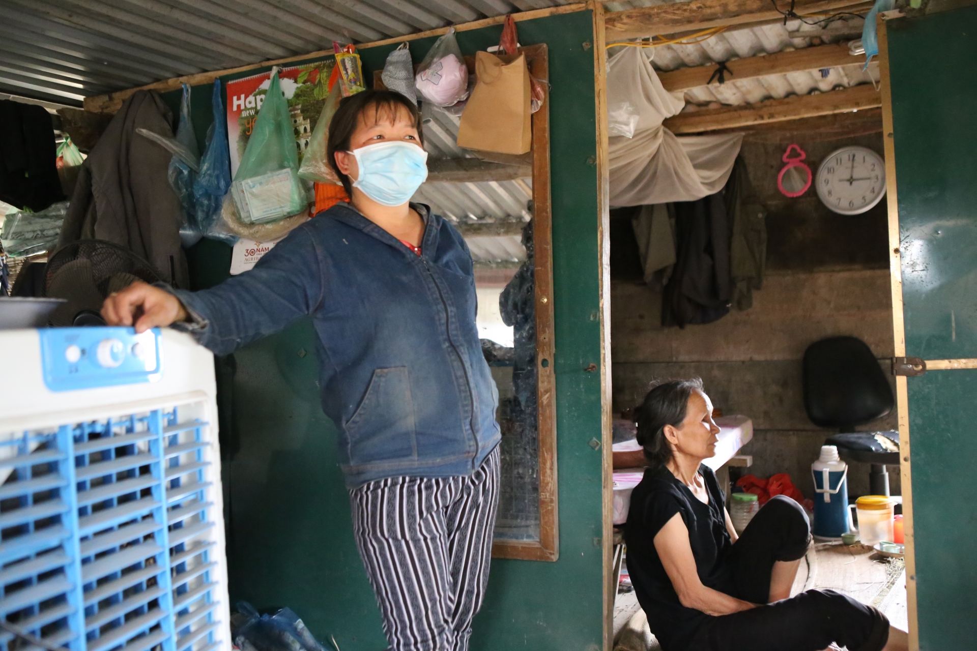 Muôn kiểu "chống đói" của người trồng hoa làng Tây Tựu muon kieu chong doi cua nguoi trong hoa lang tay tuu