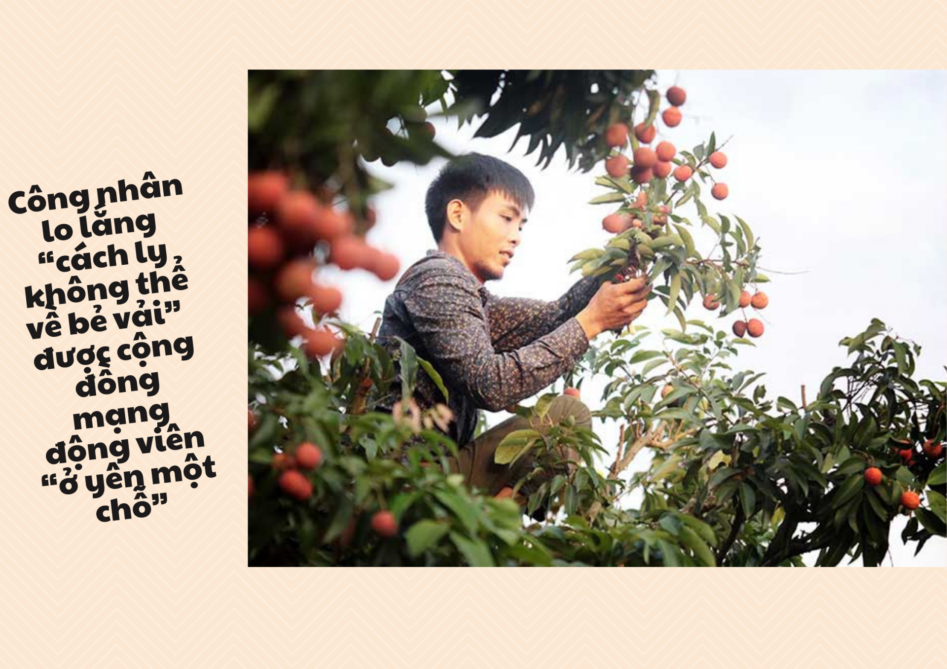 Công nhân “cách ly không thể về bẻ vải” được cộng đồng mạng động viên “ở yên một chỗ” Công nhân “cách ly không thể về bẻ vải” được cộng đồng mạng động viên “ở yên một chỗ”