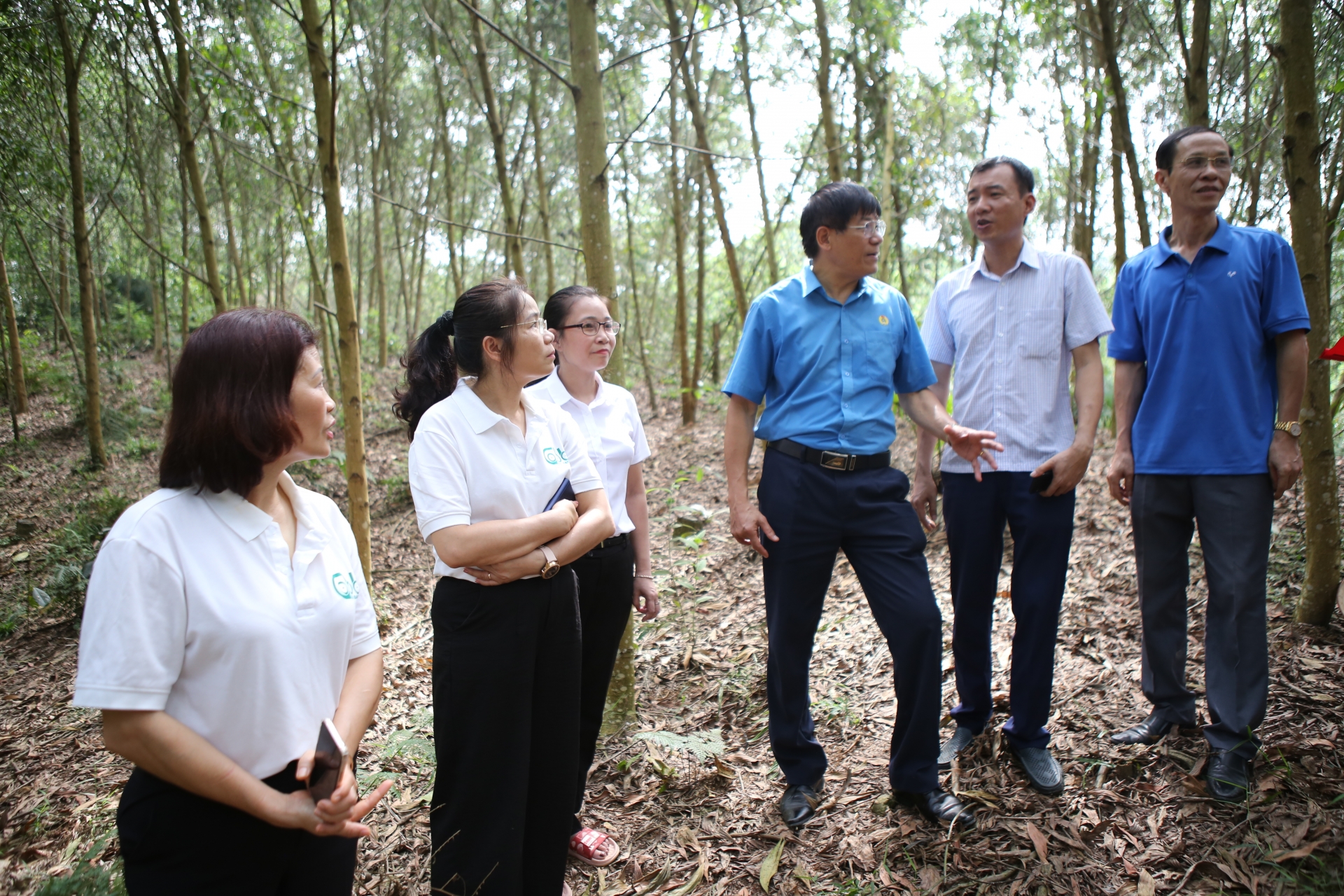 doi moi quy che quan ly hoat dong lam nghiep hai hoa loi ich doanh nghiep nguoi lao dong
