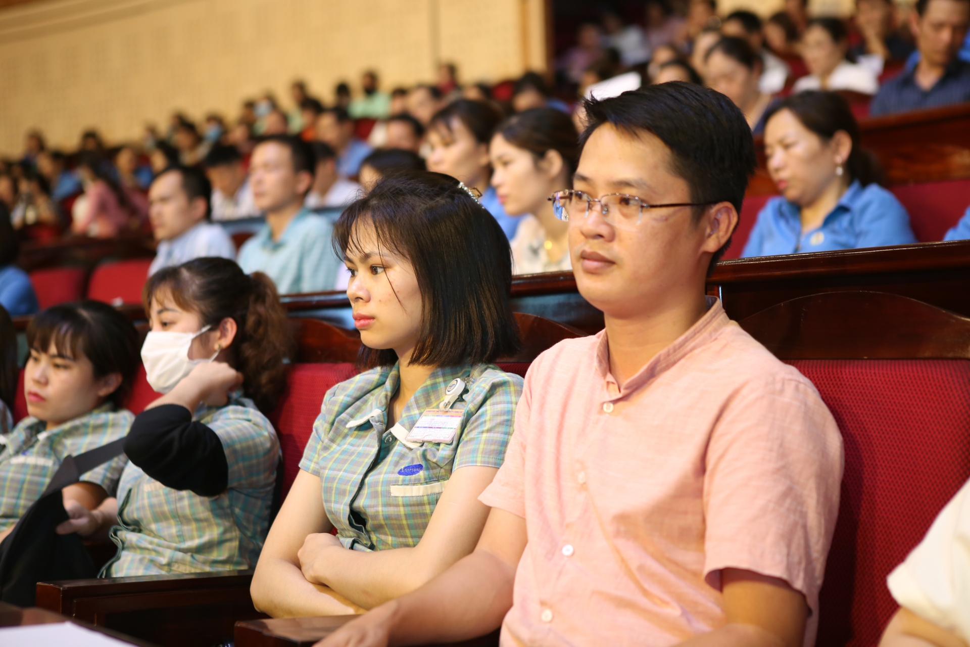 co phai nhu thit lon gia dien re cho cong nhan chi co tren ti vi