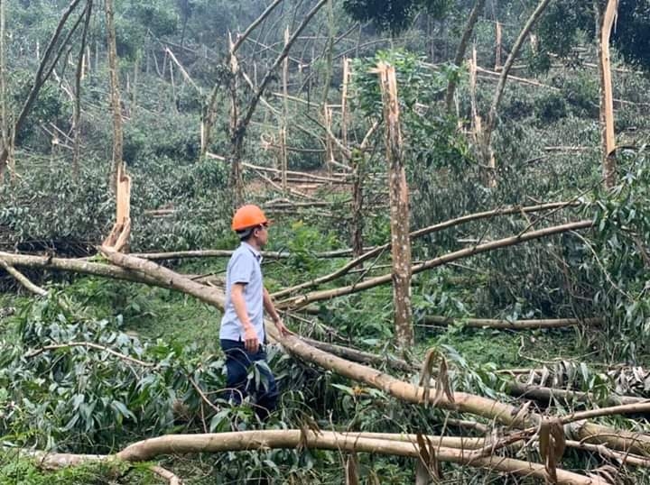 Những người giữ “kho tài sản ngoài trời", chống chọi với mưa bão, dịch bệnh nhung nguoi giu kho tai san ngoai troi chong choi voi mua bao dich benh