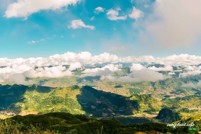 “Mang thai tiền ăn còn thiếu, mơ gì sữa bầu hả chị” “Mang thai tiền ăn còn thiếu, mơ gì sữa bầu hả chị”