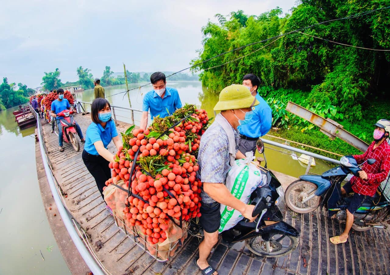 Vải thiều Lục Ngan có trong bữa ăn ca của lao động 3 miền Vải thiều Lục Ngan có trong bữa ăn ca của lao động 3 miền