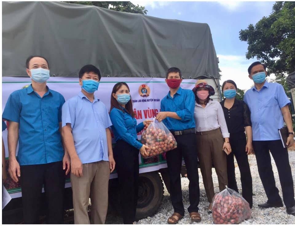 Vải thiều Lục Ngan có trong bữa ăn ca của lao động 3 miền Vải thiều Lục Ngan có trong bữa ăn ca của lao động 3 miền