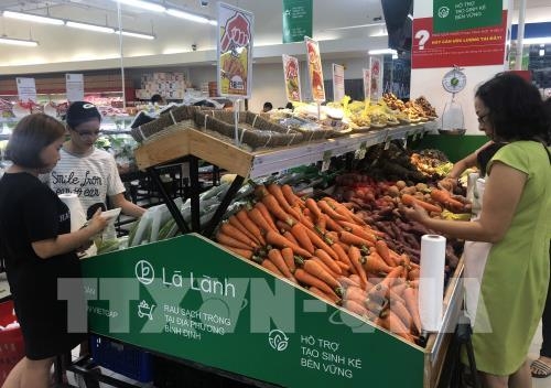 Rau sạch an toàn Lá Lành Bình Định: Một thương hiệu rau sạch rau an toan la lanh binh dinh mot thuong hieu rau sach