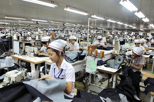 Công nhân trẻ ngành may. Ảnh: ST 5554 f9205d55df14364a6f05