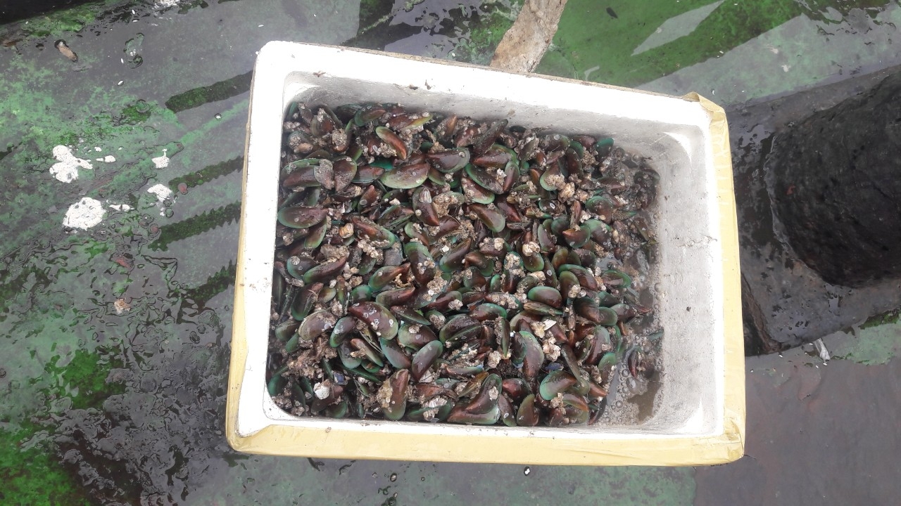 3244 z1993017673797 6f1ac4425be43108f18a66d3e27461e6