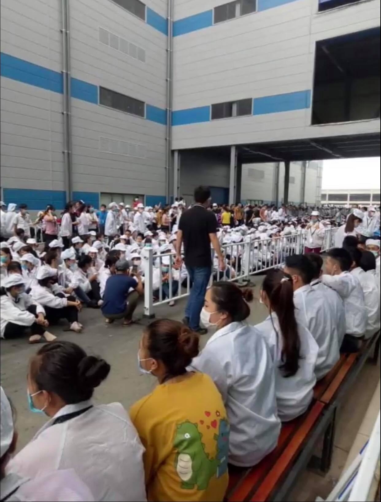 2455 5553 119109794 362273048483582 8229782979348841574 n