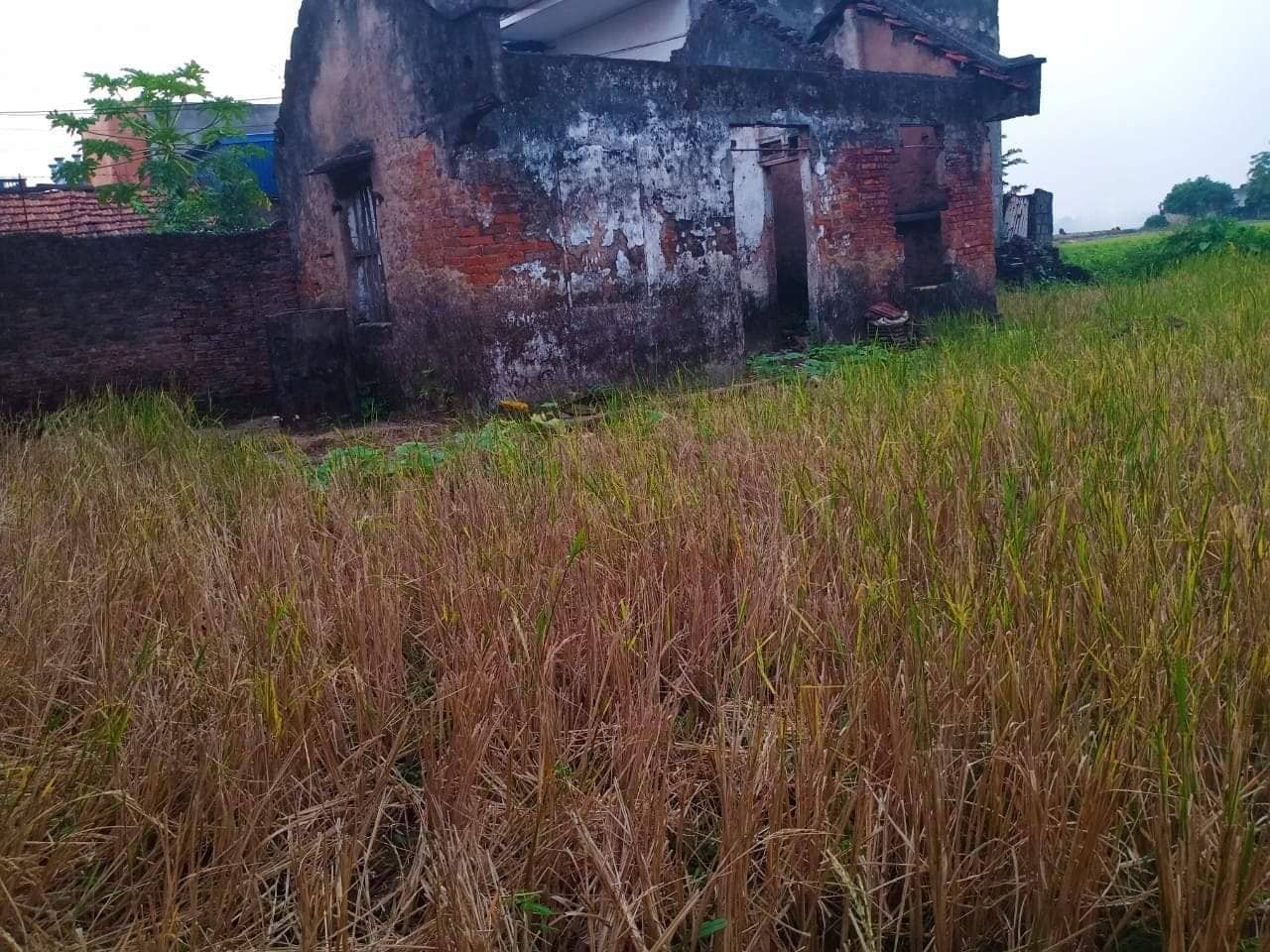 Khởi công xây dựng nhà "Mái ấm Công Đoàn " năm 2019 cho công nhân khoi cong xay dung nha mai am cong doan nam 2019 cho cong nhan