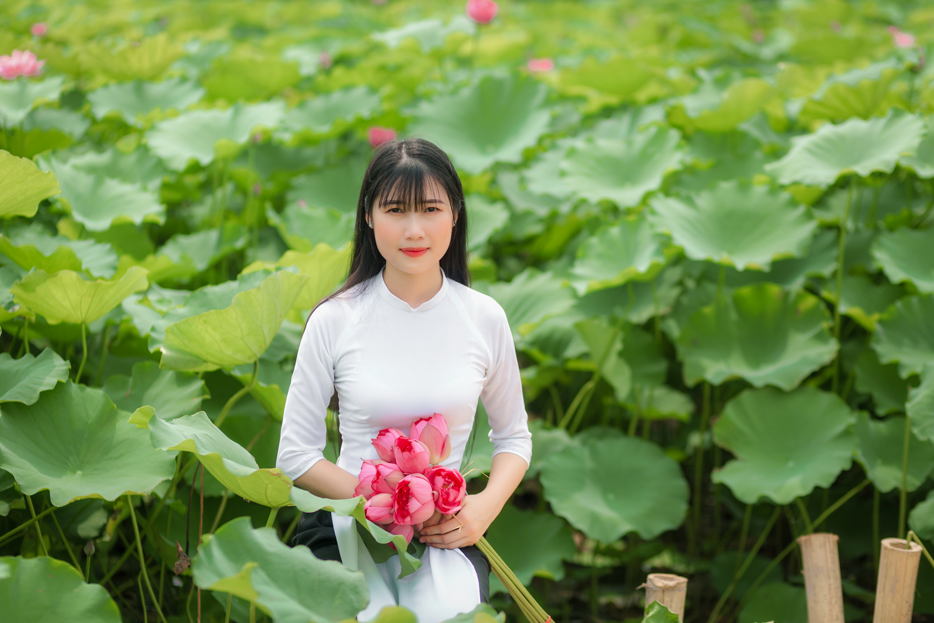 Các thí sinh Các thí sinh