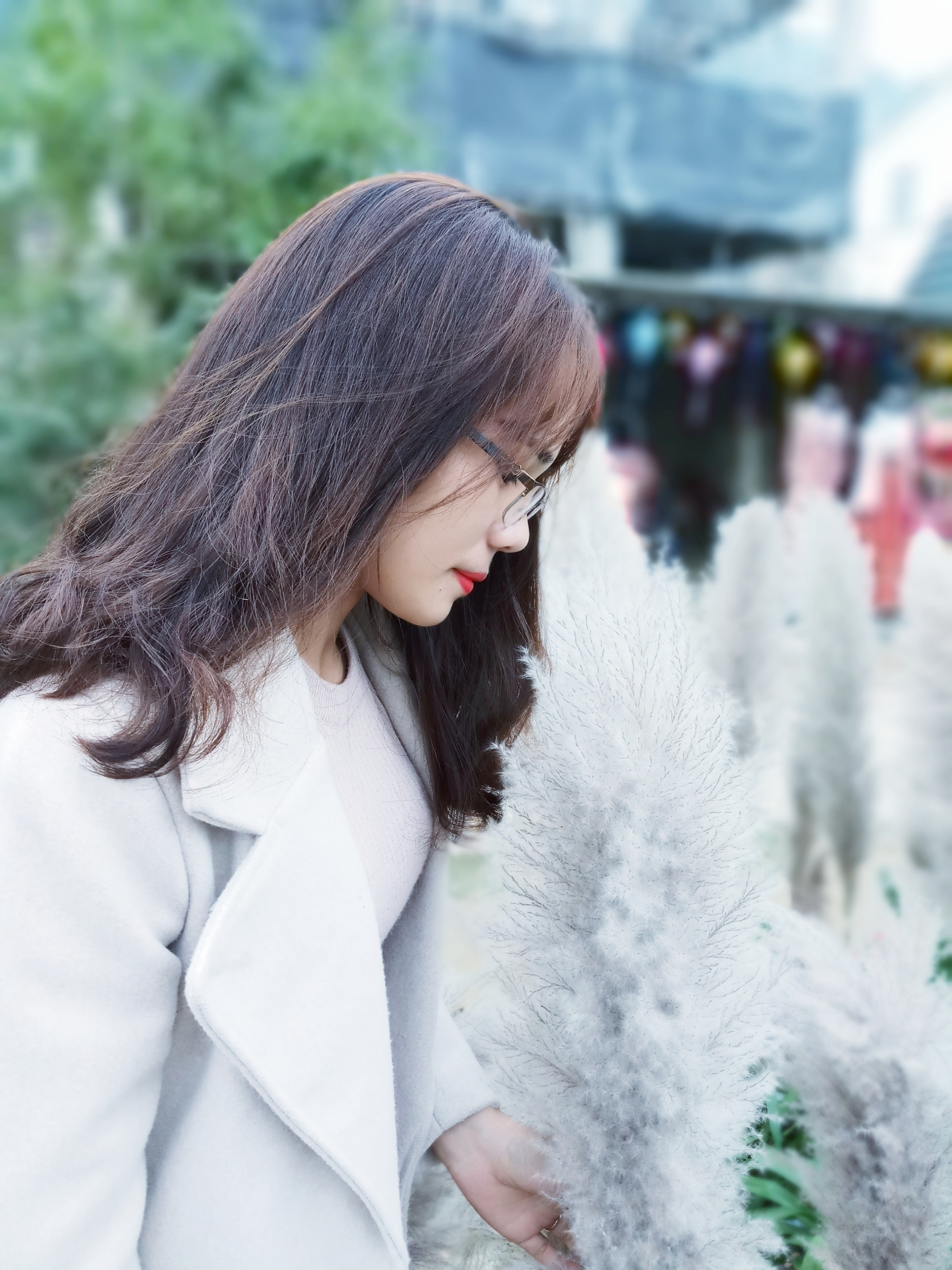 Các thí sinh Các thí sinh