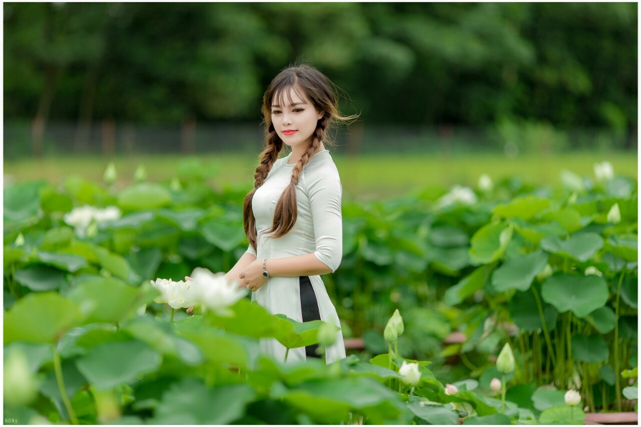 Các thí sinh Các thí sinh