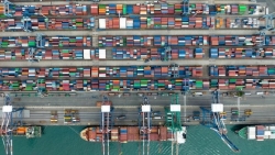 Xuất khẩu Hàn Quốc sụt mạnh trong bối cảnh nhu cầu toàn cầu giảm sâu