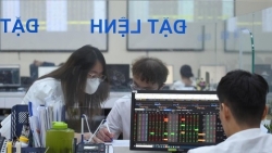 Nhiều cổ phiếu khó tăng tiếp do thanh khoản thị trường cạn kiệt