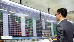 Tâm điểm chứng khoán: Tin tốt trong nước có đủ sức chống đỡ?