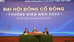 Kết quả kinh doanh đi ngược xu hướng ngành, lãnh đạo CTCK BIDV (BSI) nói gì?