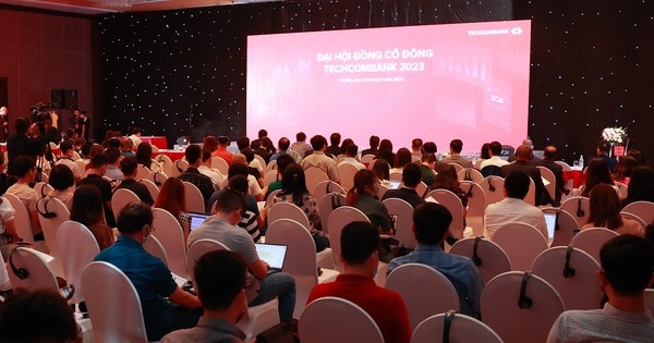 ĐHĐCĐ Techcombank: Điểm sáng trong bức tranh 22.000 tỷ lợi nhuận?