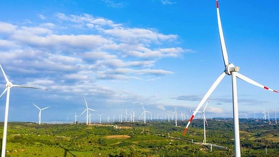 Trungnam Group báo lỗ gần 255 tỷ đồng năm 2022, dư nợ trái phiếu vượt 24.000 tỷ đồng