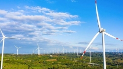 Trungnam Group báo lỗ gần 255 tỷ đồng năm 2022, dư nợ trái phiếu vượt 24.000 tỷ đồng