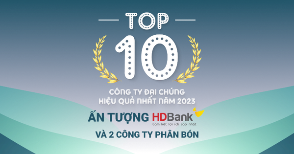 Top 10 công ty đại chúng hiệu quả nhất năm 2023: Ấn tượng HDBank, Đạm Phú Mỹ và Hóa dầu Đức Giang