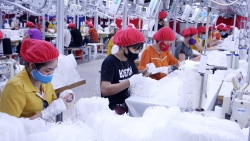 Bộ LĐ-TB&XH  đề xuất tăng giờ làm thêm ở tất cả các ngành nghề