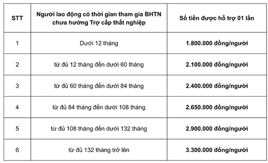 Người lao động cần chuẩn bị gì để nhanh chóng nhận hỗ trợ từ Quỹ BHTN?