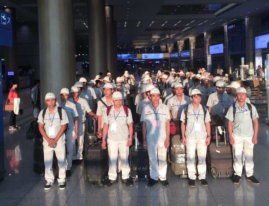 Đề xuất thí điểm gói bảo hiểm Covid-19 cho người lao động đi làm việc tại Hàn Quốc Đề xuất thí điểm gói bảo hiểm Covid-19 cho NLĐ đi làm việc tại Hàn Quốc